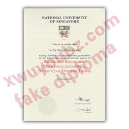 新加坡国立大学文凭(National University of Singapore diploma)原版制作